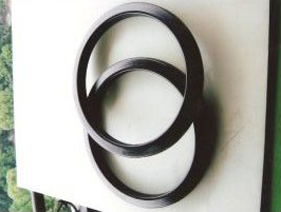 Inner Rubber Ring