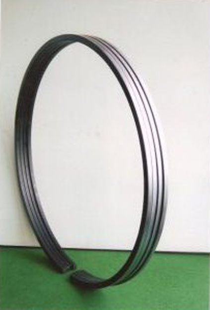 Piston Ring